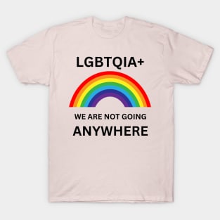 Gay Pride LGBT Lesbian Trans Gift For LGBTQIA Rainbow Family Queer Intersex Asexual Protest T-Shirt